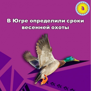Сроки весенней охоты